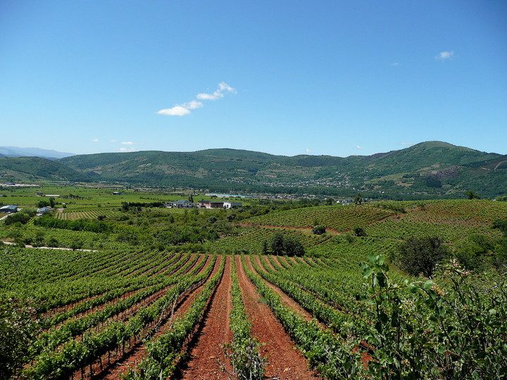 NUEVAS AYUDAS PARA JÓVENES AGRICULTORES EN LA RIOJA