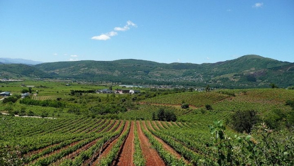 NUEVAS AYUDAS PARA JÓVENES AGRICULTORES EN LA RIOJA